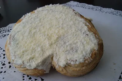 Palmera de Coco